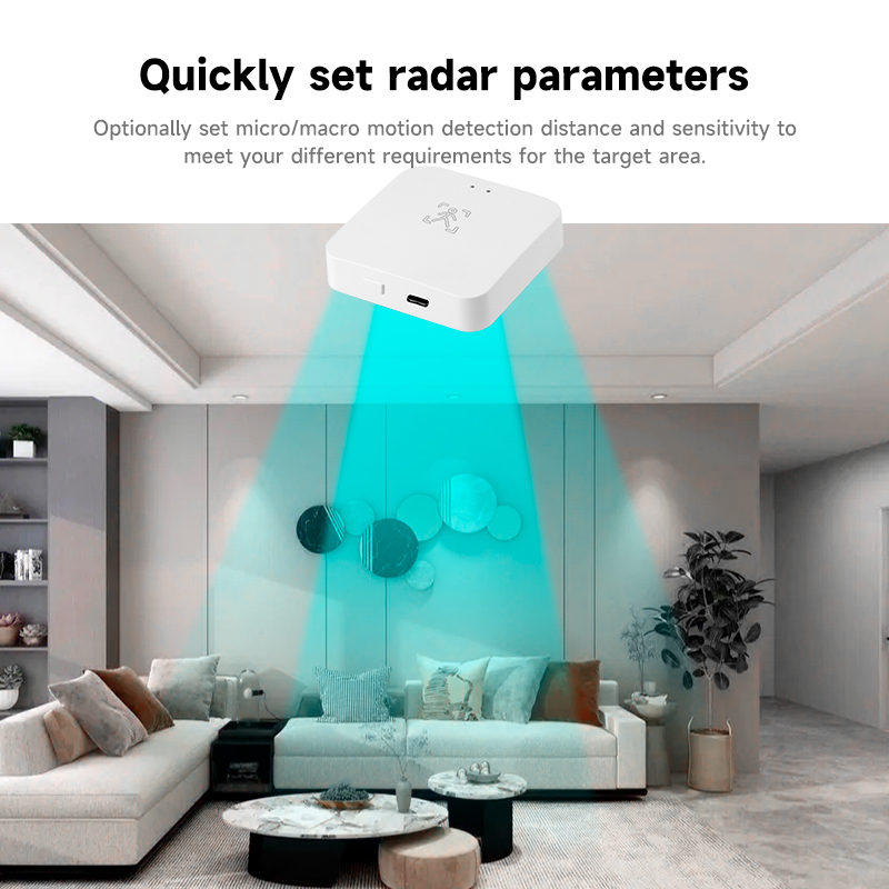 Tuya Smart Life WiFi 人感検知器 24G - Home Assistant Tuya のレビューと価格